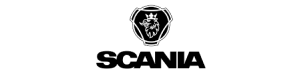 Купить запчасти двигателя Scania