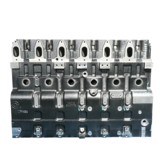 Блок цилиндров Shanghai SC11CB220G2B1 / C6121ZG50 в сборе