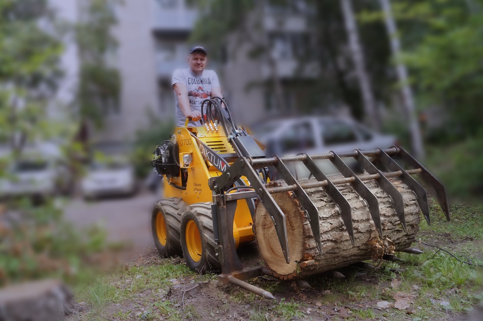 Мини погрузчик DIKTUM G400